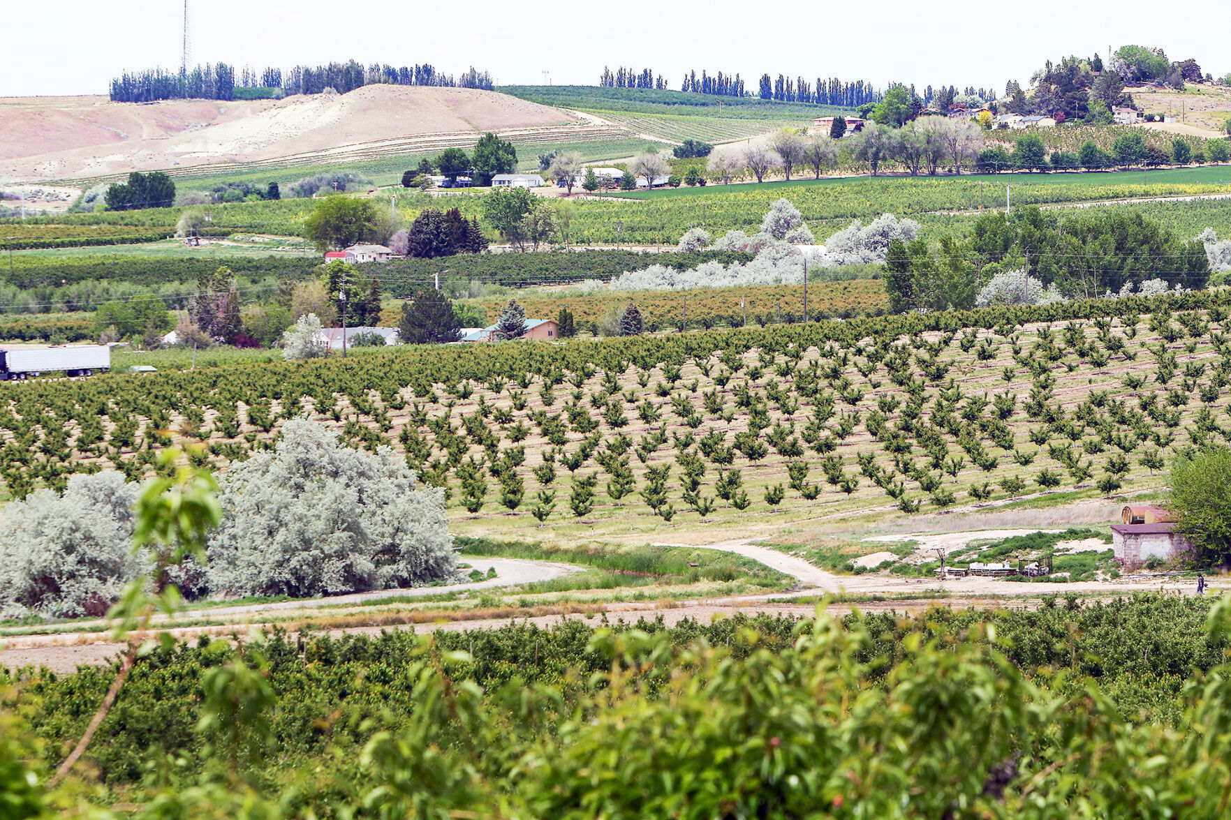 Canyon County Farmland
